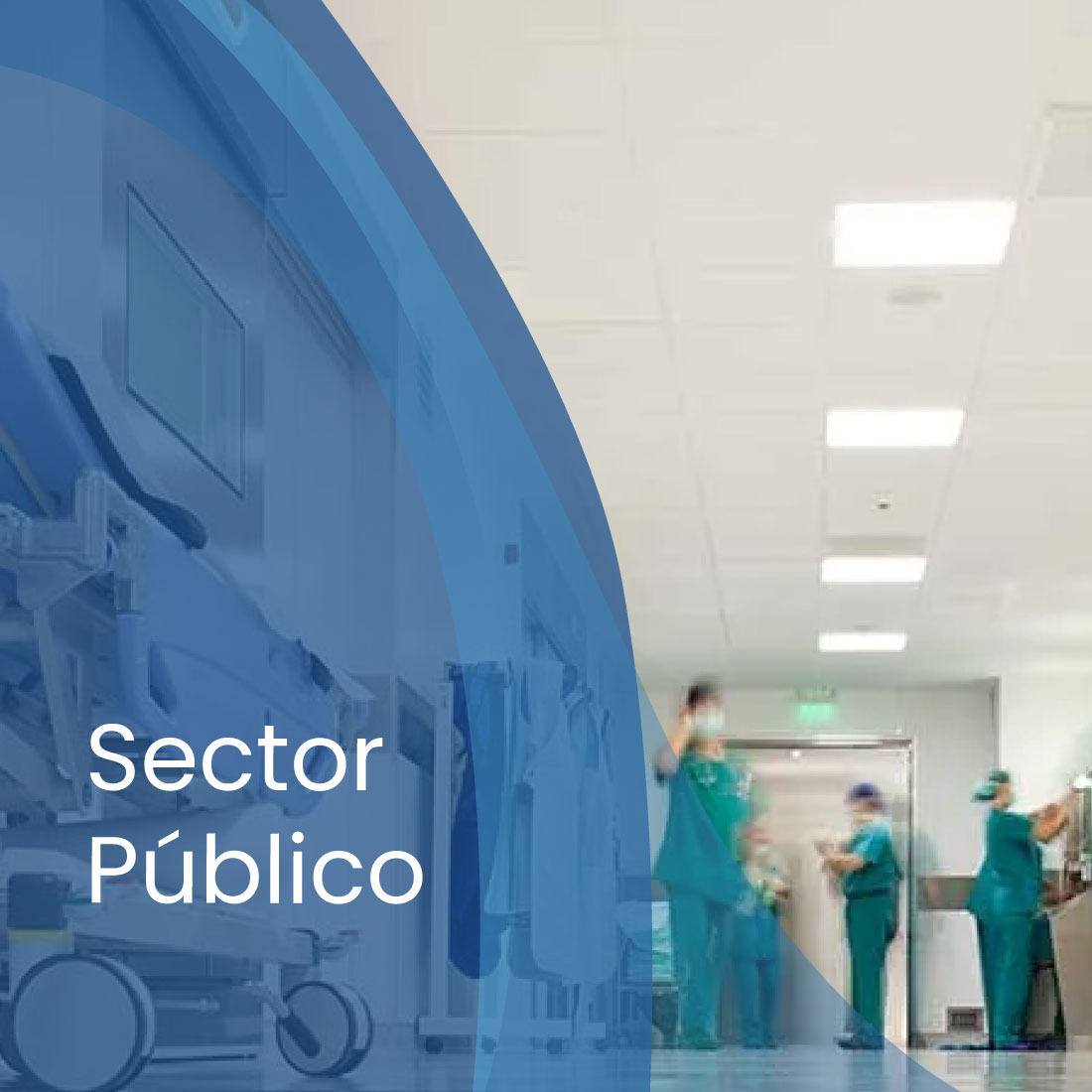 Ventas al sector Público